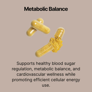 10X Berberine