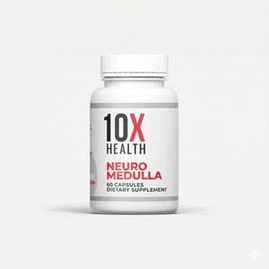 10X Neuro Medulla