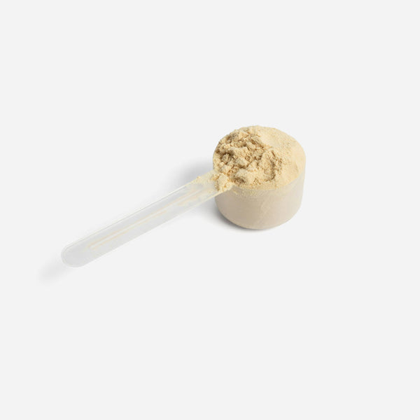 10X Plant Protein
