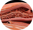 Physiology-Informed Ratios