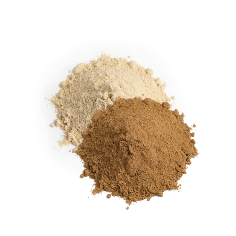 10X Plant Protein - Vanilla Honey